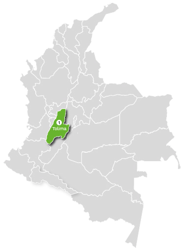 Mapa de Colombia donde aparece la región a la que impacta (Tolima)