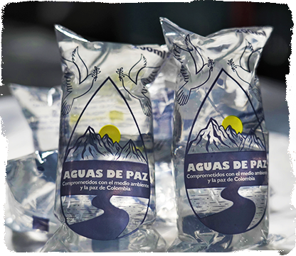 PescaPaz