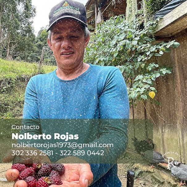 Nolberto Moras por la paz