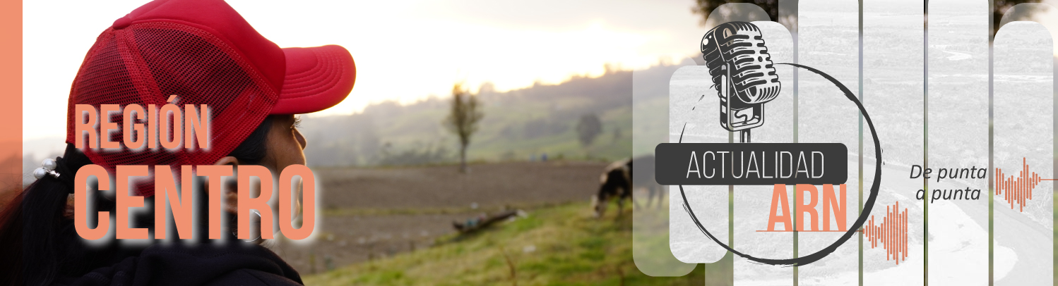 Cabezote página Actualidad ARN Radio Región Centro. Mujer mirando hacia un valle y a una vaca