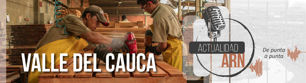 Actualidad ARN Radio Valle del Cauca. Foto de 2 hombres taladrando en unas tablas de madera