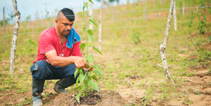 Casi 50 mil millones se han invertido en proyectos productivos 