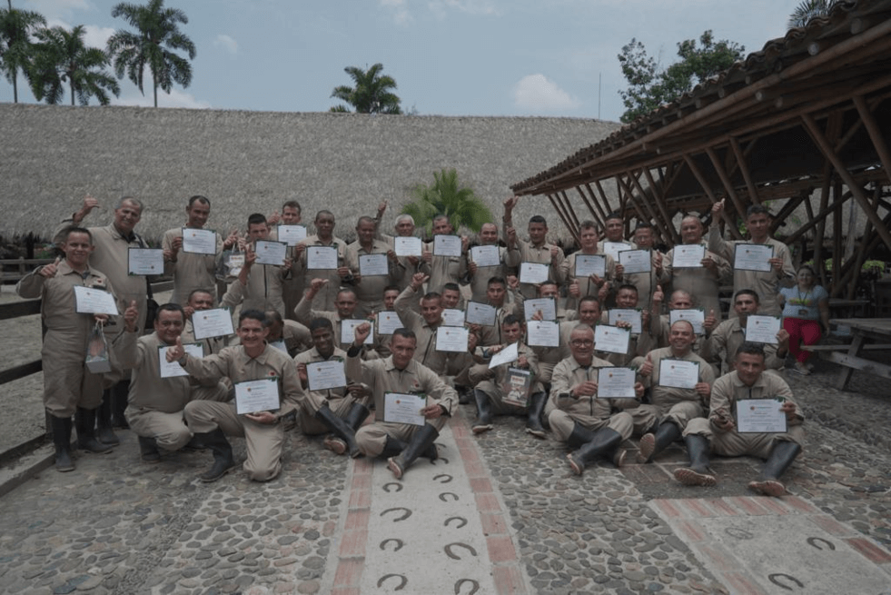 espectador 36 excombatientes de las Farc se graduaron en Quindío.png