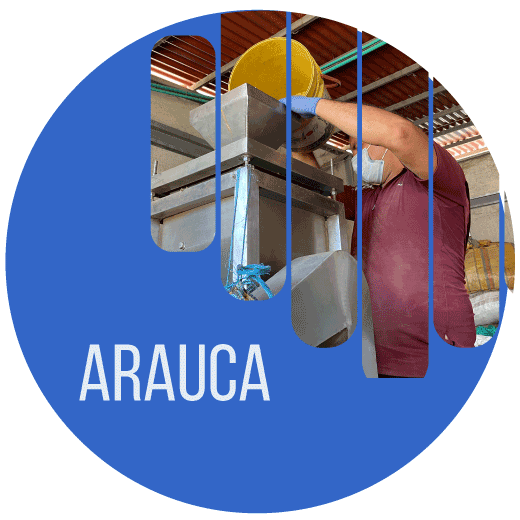 Acceso a repositorio de programas de Actualidad ARN Radio Arauca