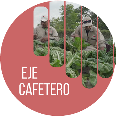 Acceso a repositorio de programas de Actualidad ARN Radio  Eje Cafetero