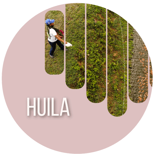 Acceso a repositorio de programas de Actualidad ARN Radio  Huila