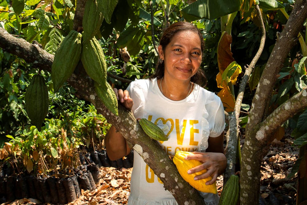 Juntas sacamos nuestros proyectos adelante