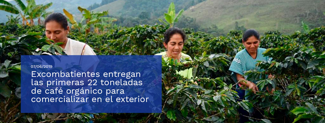 Personas en proceso de reincorporación del Tolima esperan comercializar con el apoyo de la Agencia para la Reincorporación y la 