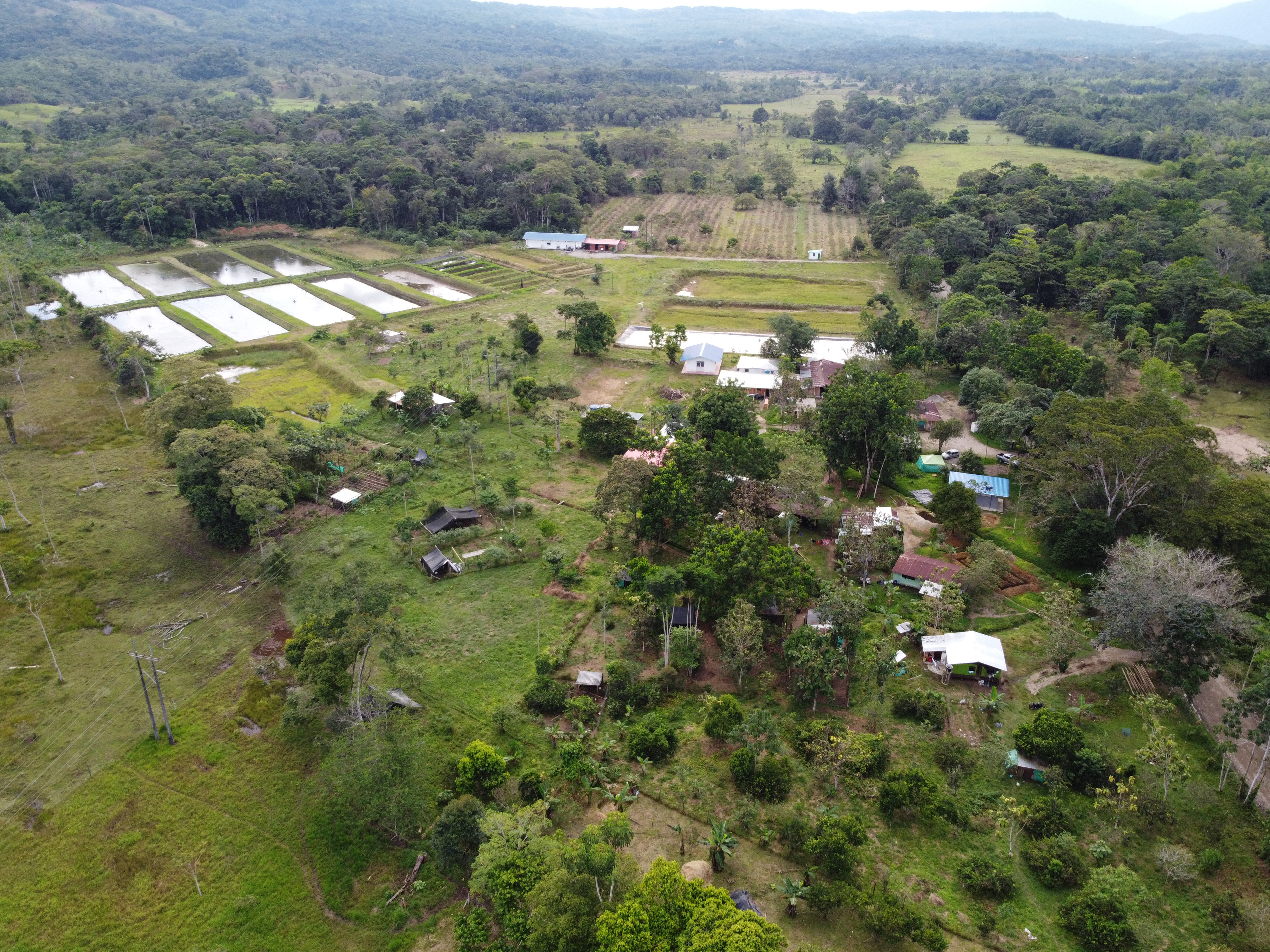 DJI_0161.JPG