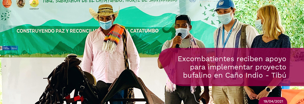 Excombatientes lideran iniciativa con búfalos para el desarrollo económico en el Catatumbo