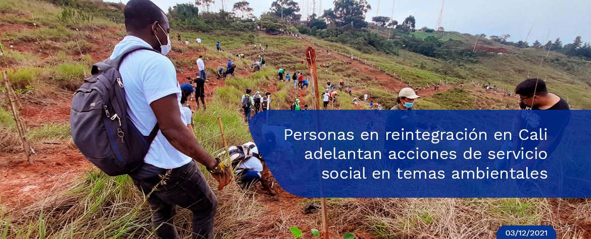 Excombatientes y comunidades fortalecen convivencia en el Valle