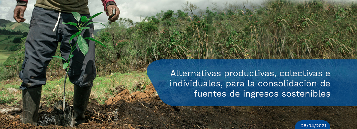 Más de $1.075 millones para proyectos productivos liderados por excombatientes del Valle del Cauca