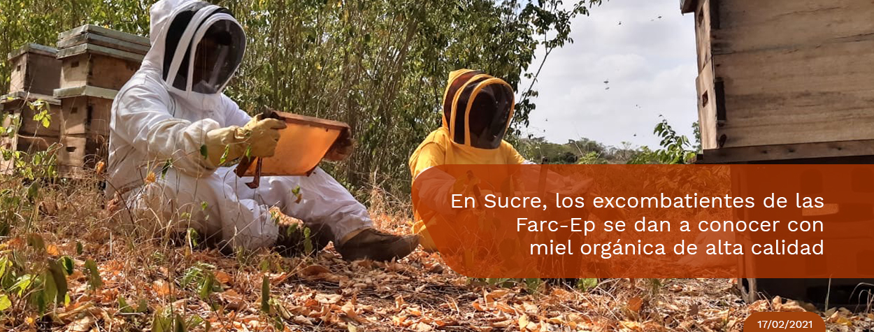 Miel de excombatientes ‘endulza’ la paz en los Montes de María